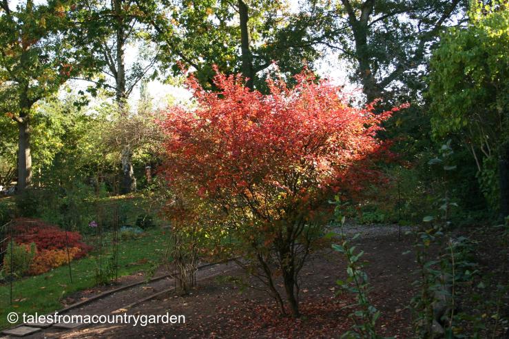 IMG_0280_watermarked