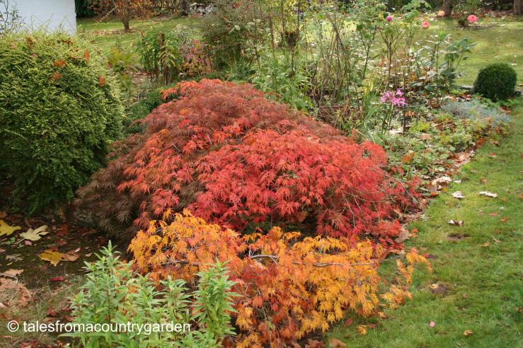 IMG_0307_watermarked