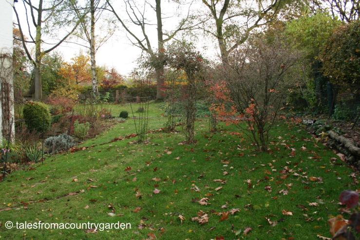 IMG_0431_watermarked