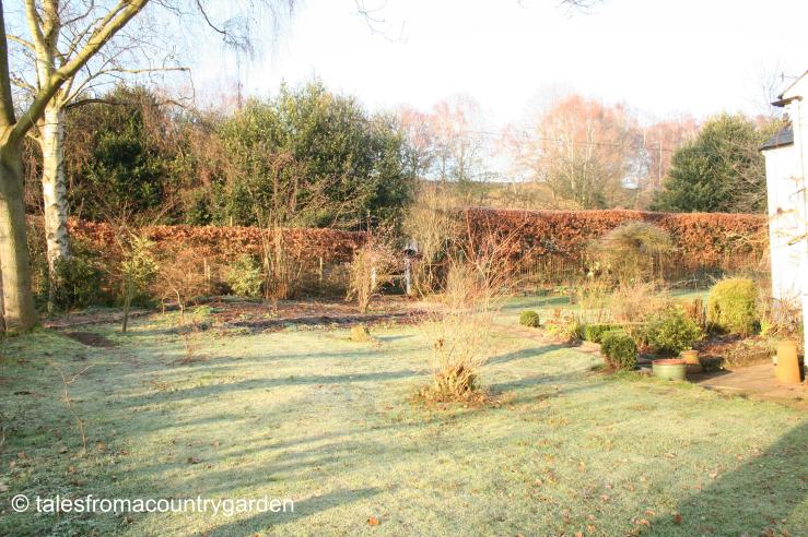 IMG_0082_watermarked