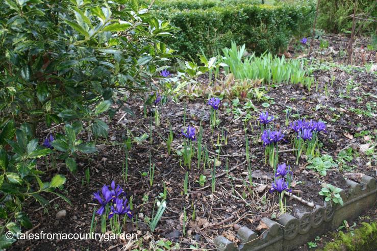 IMG_0305_watermarked