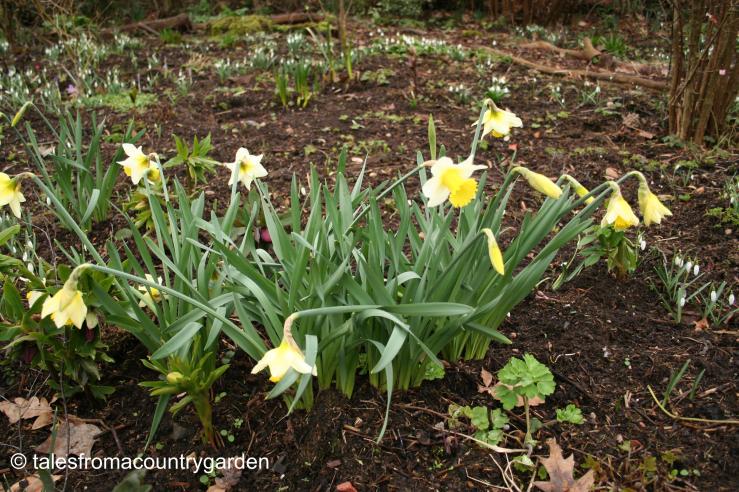 IMG_0307_watermarked