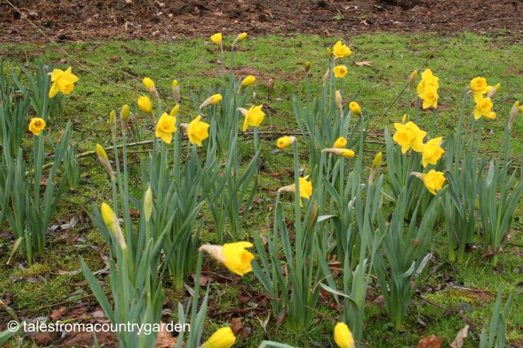 IMG_0461_watermarked - Copy