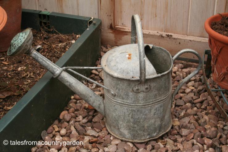 IMG_0043_watermarked