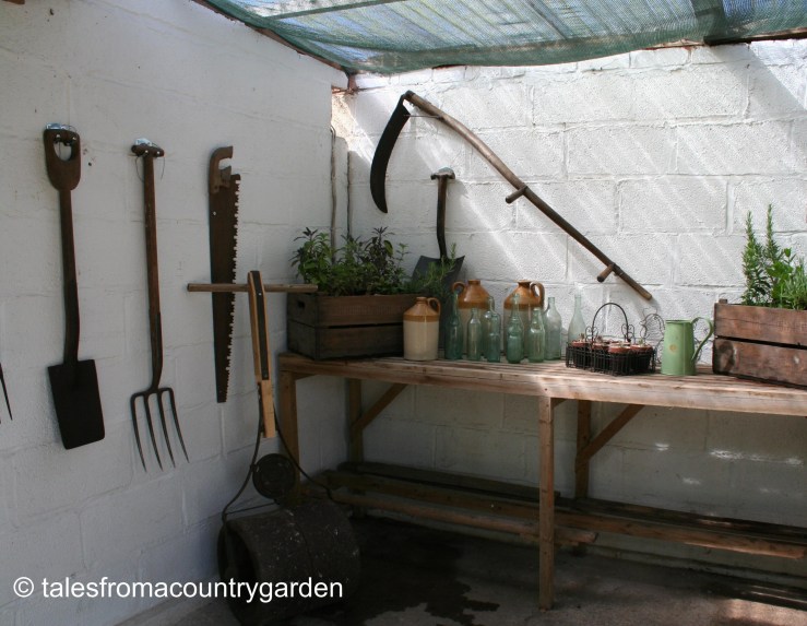 IMG_1163_watermarked