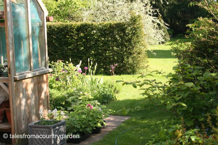 IMG_0206 - Copy_watermarked