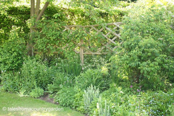 IMG_0212 - Copy_watermarked