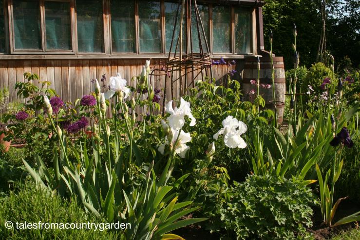 IMG_0227 - Copy_watermarked