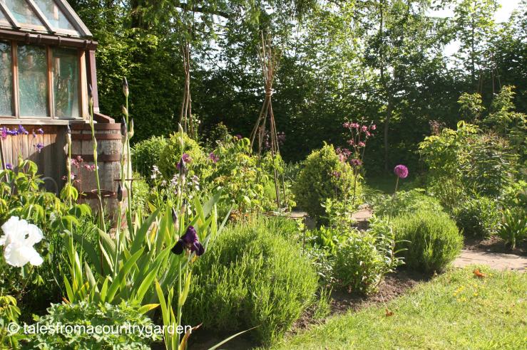 IMG_0228 - Copy_watermarked