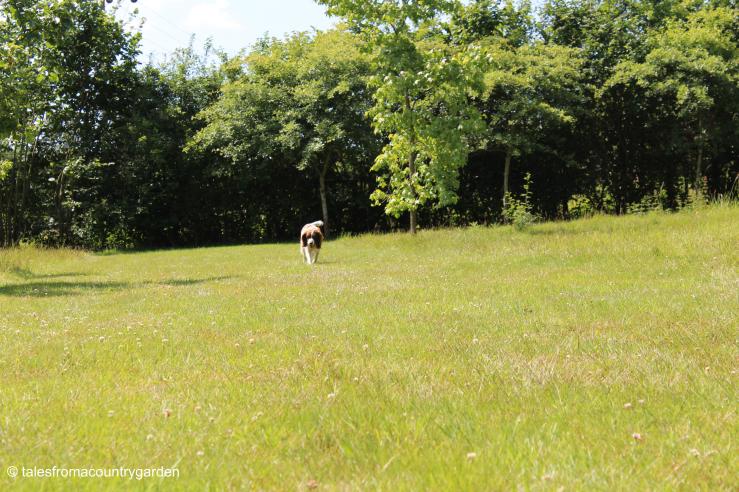 IMG_3365_watermarked