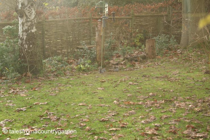 IMG_0119_watermarked