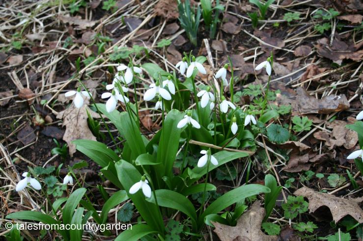 IMG_0328_watermarked