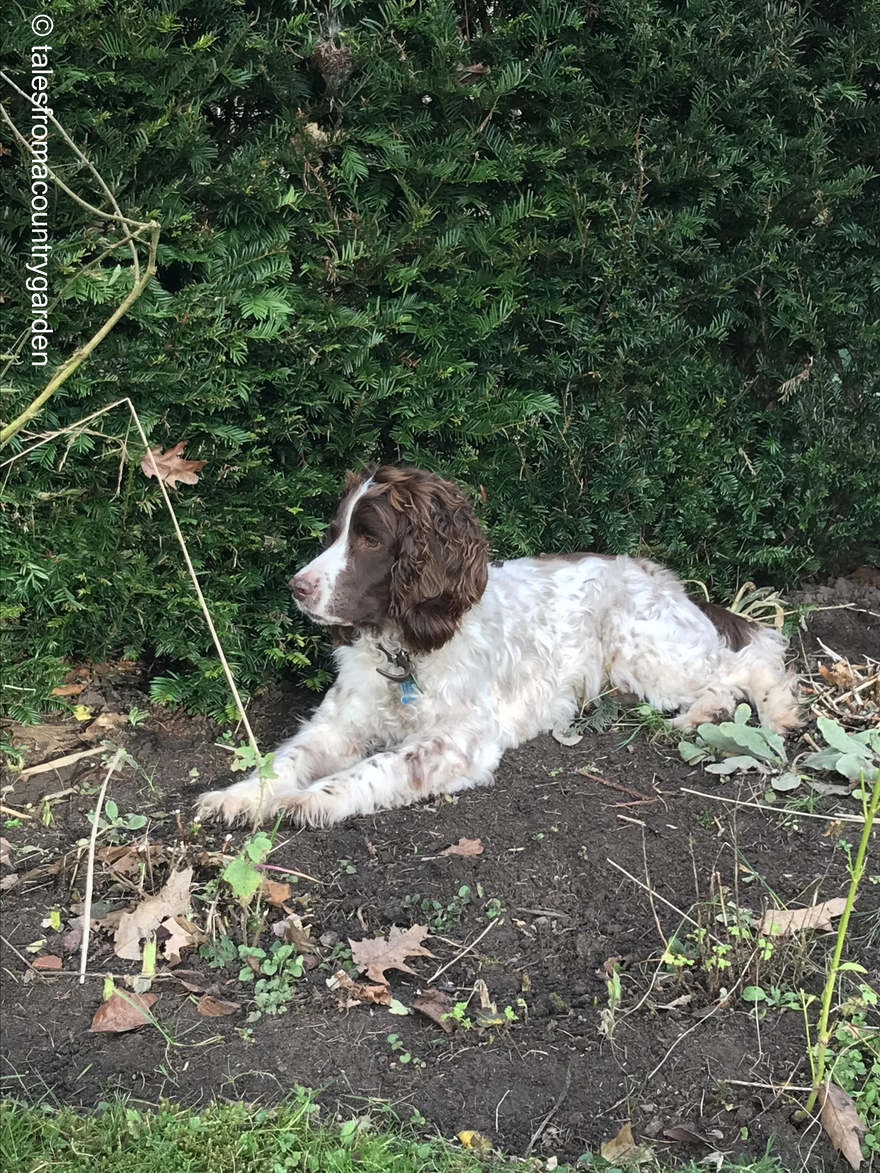 IMG_3699_watermarked