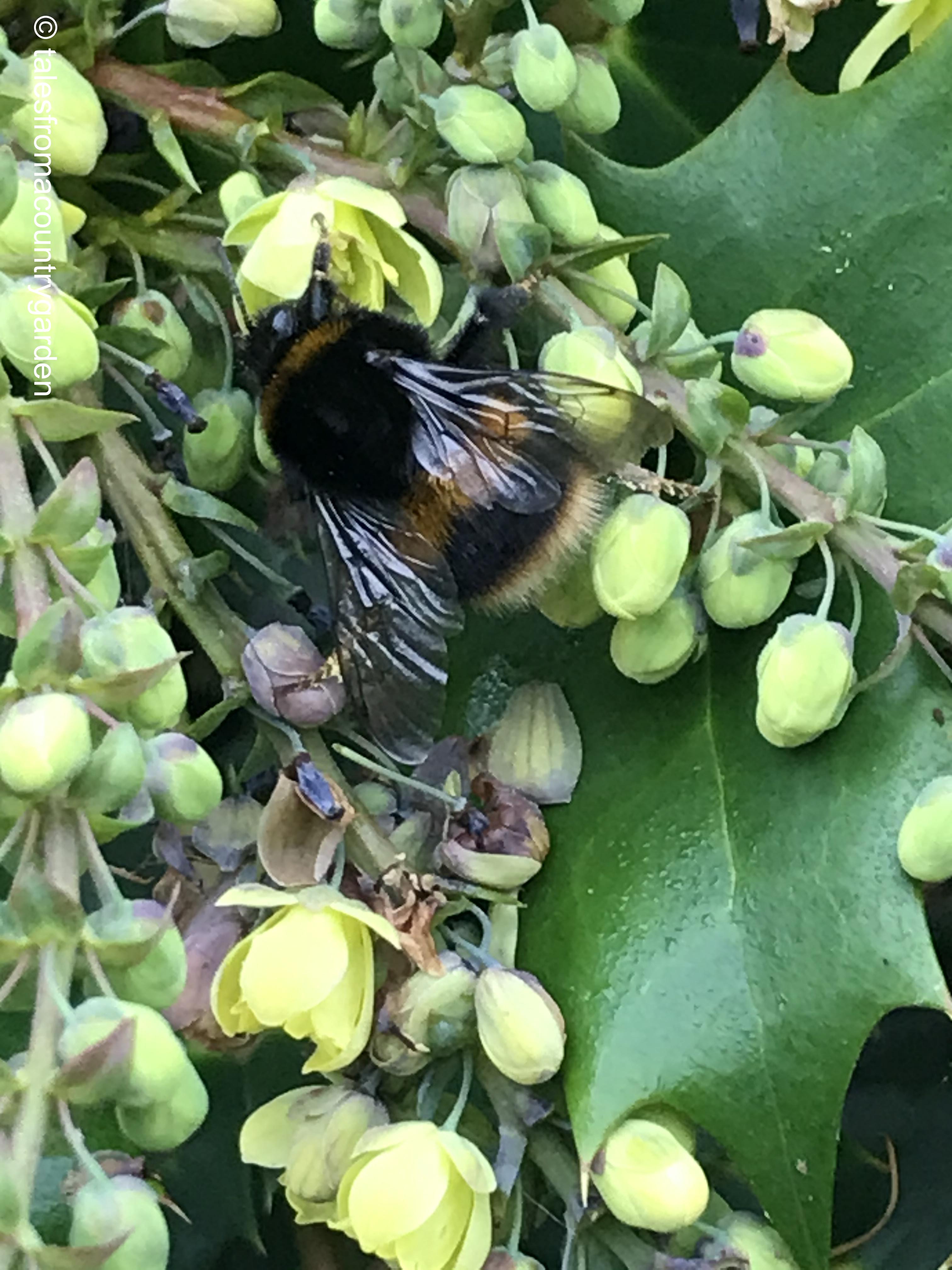 IMG_3769_watermarked