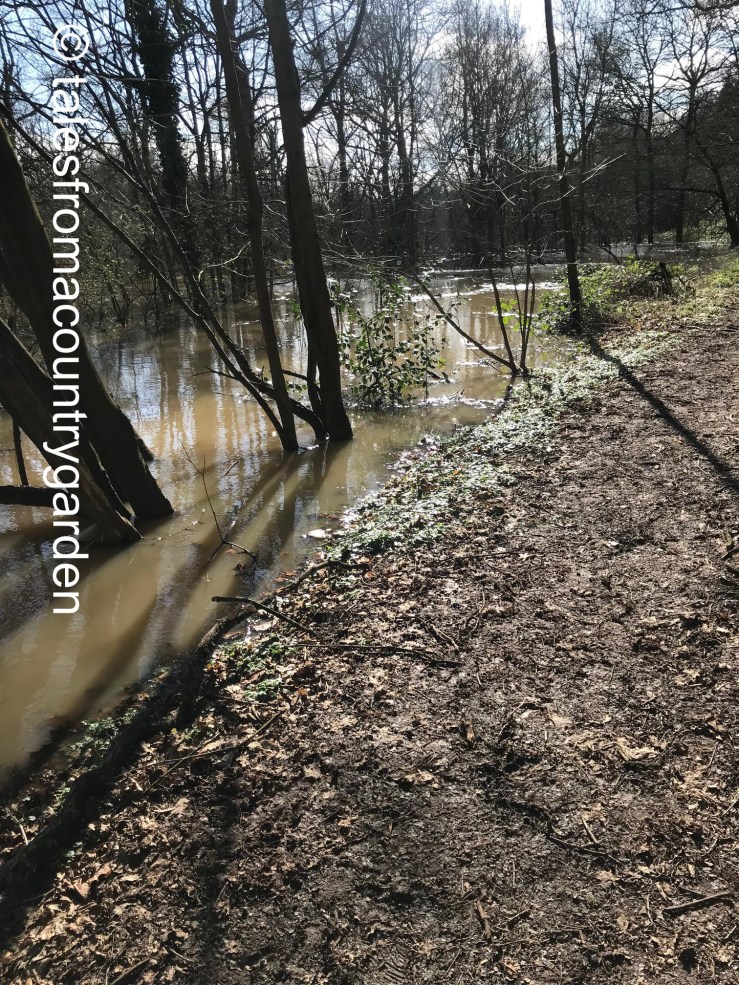 IMG_3956 - Copy_watermarked