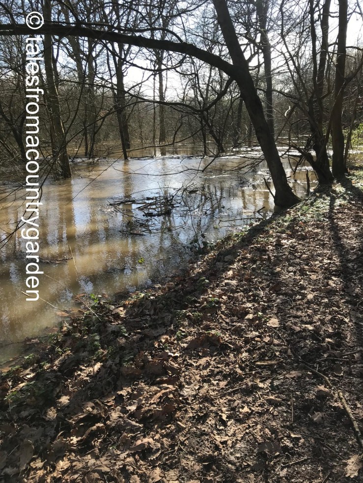 IMG_3957_watermarked