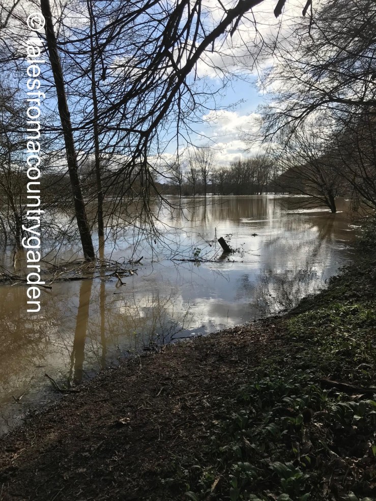 IMG_3966_watermarked