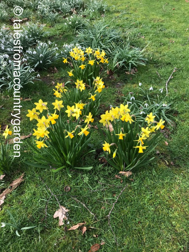 IMG_3982_watermarked