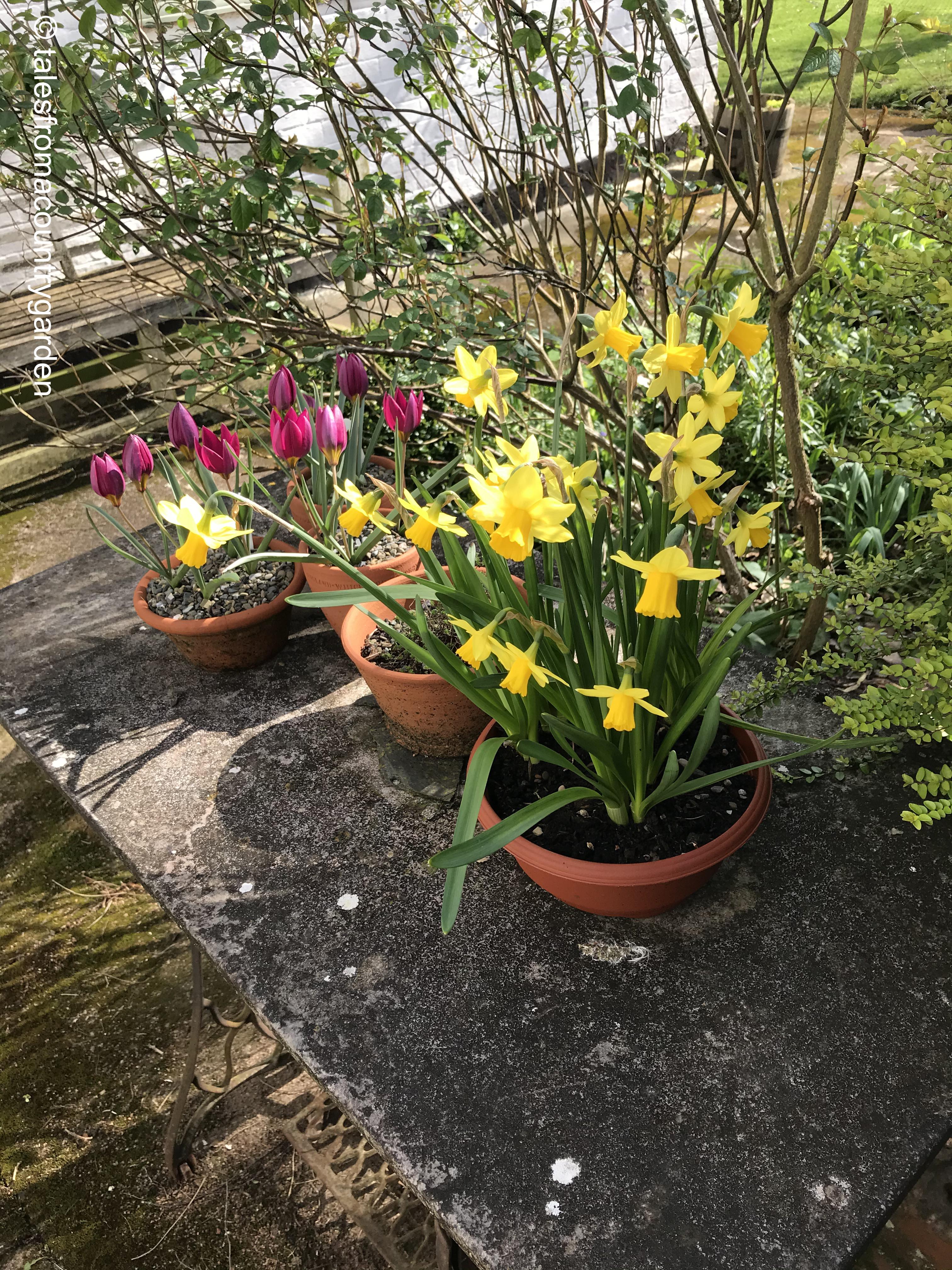 IMG_4108_watermarked