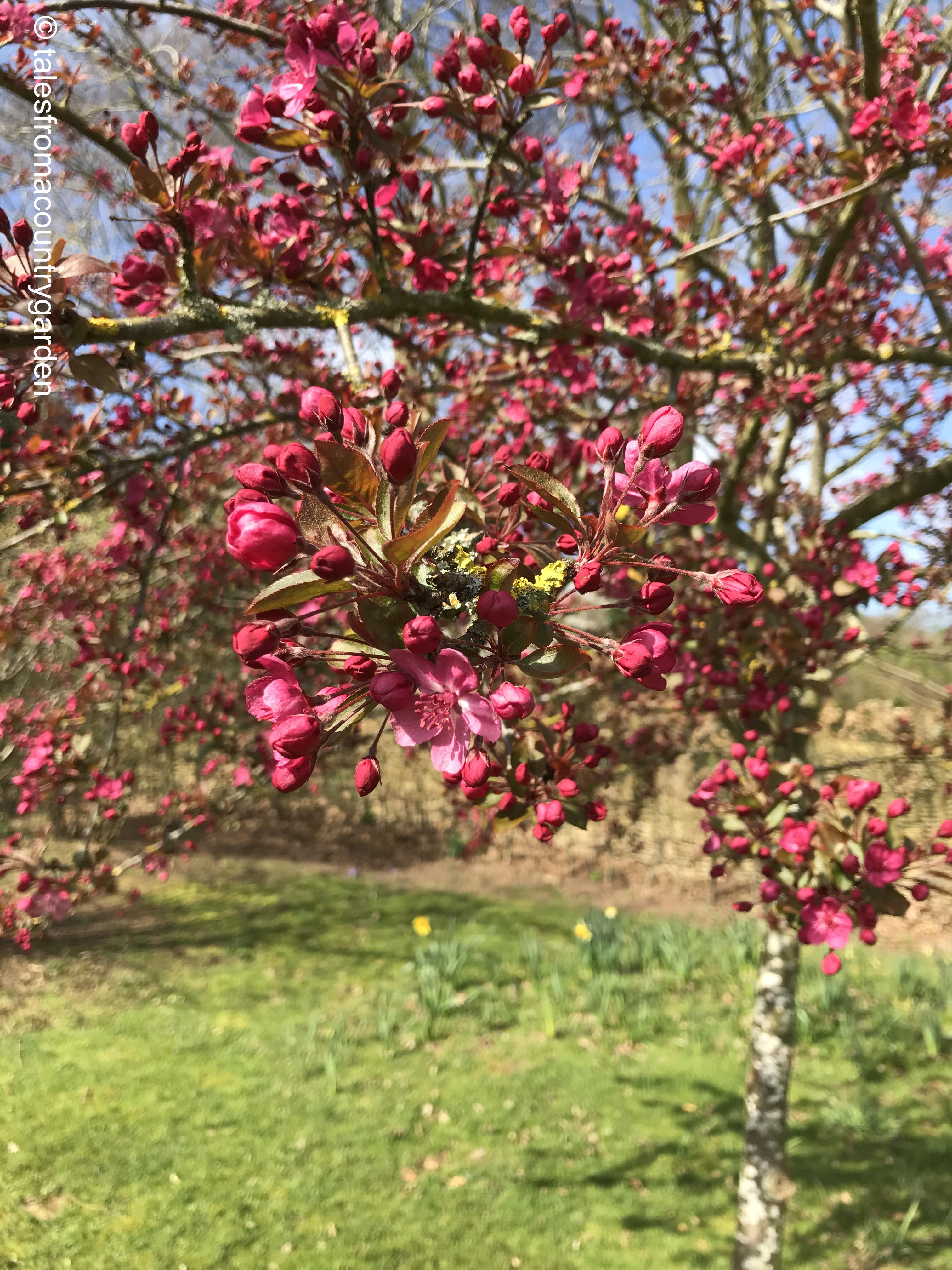 IMG_4119_watermarked