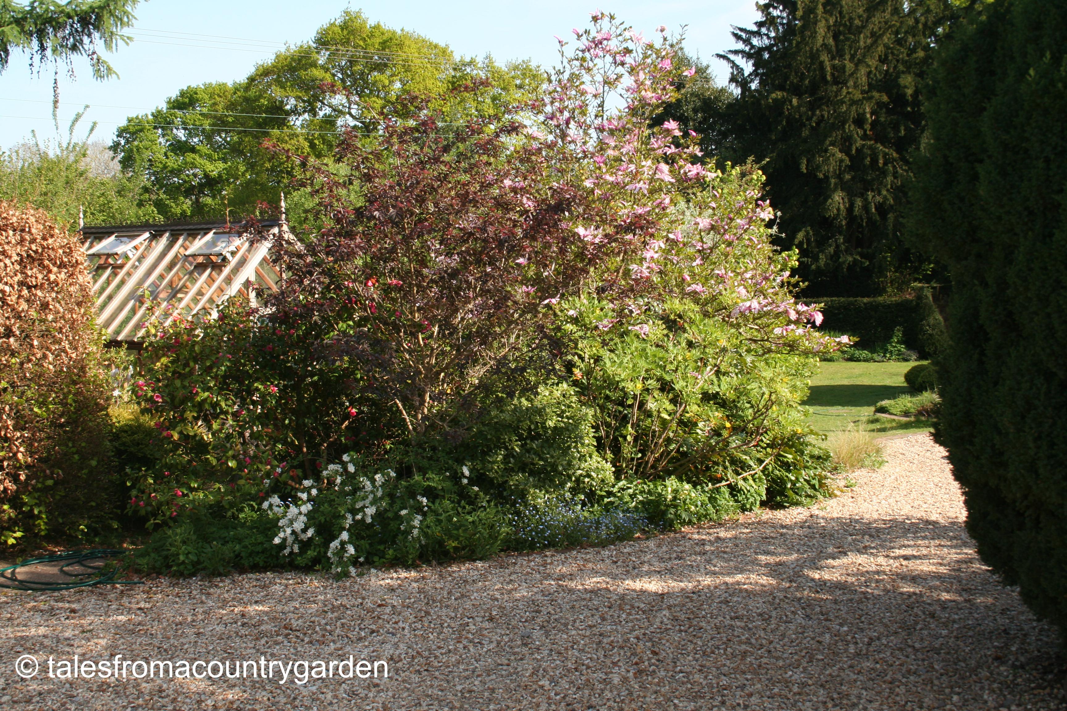 IMG_0428_watermarked