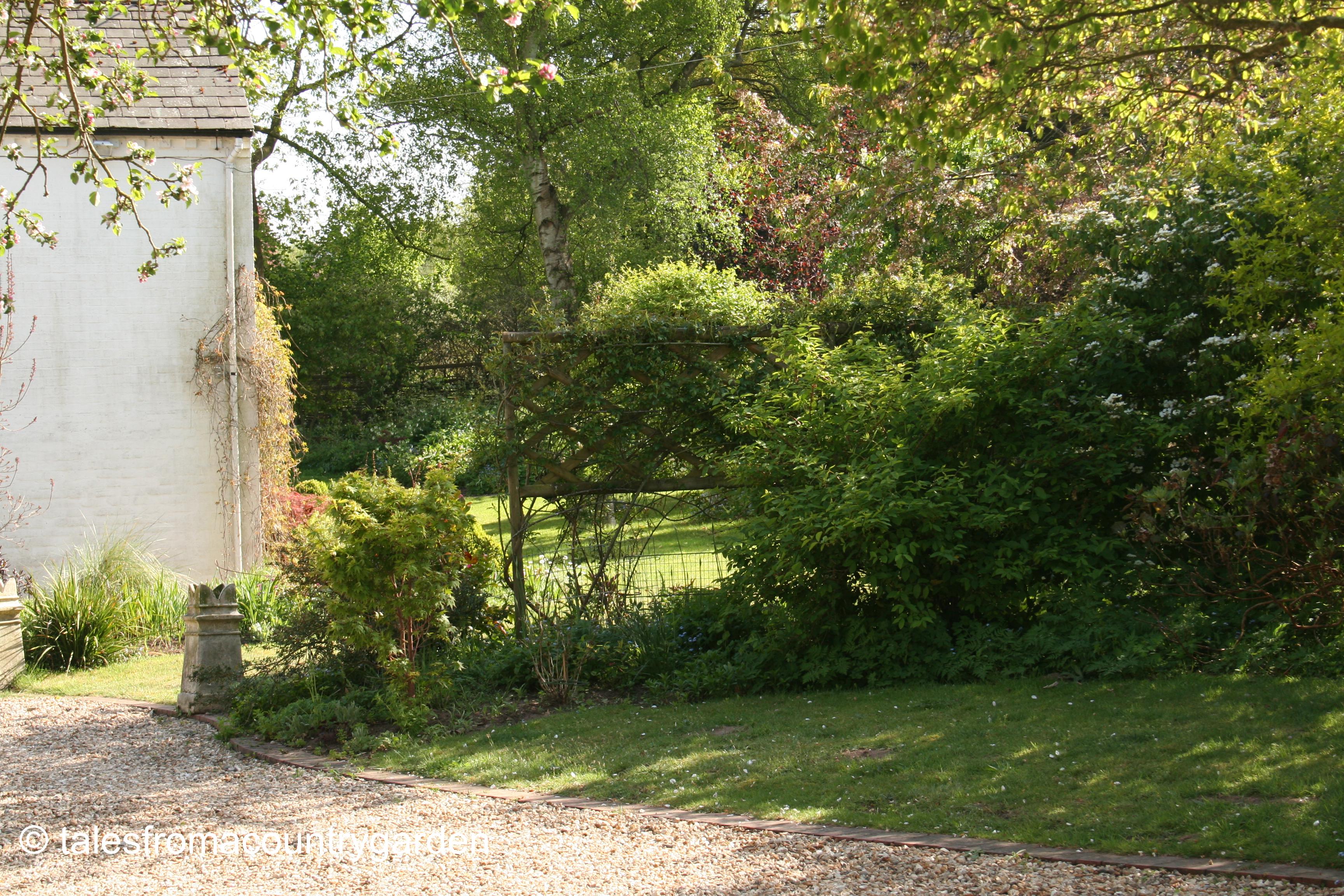 IMG_0429_watermarked