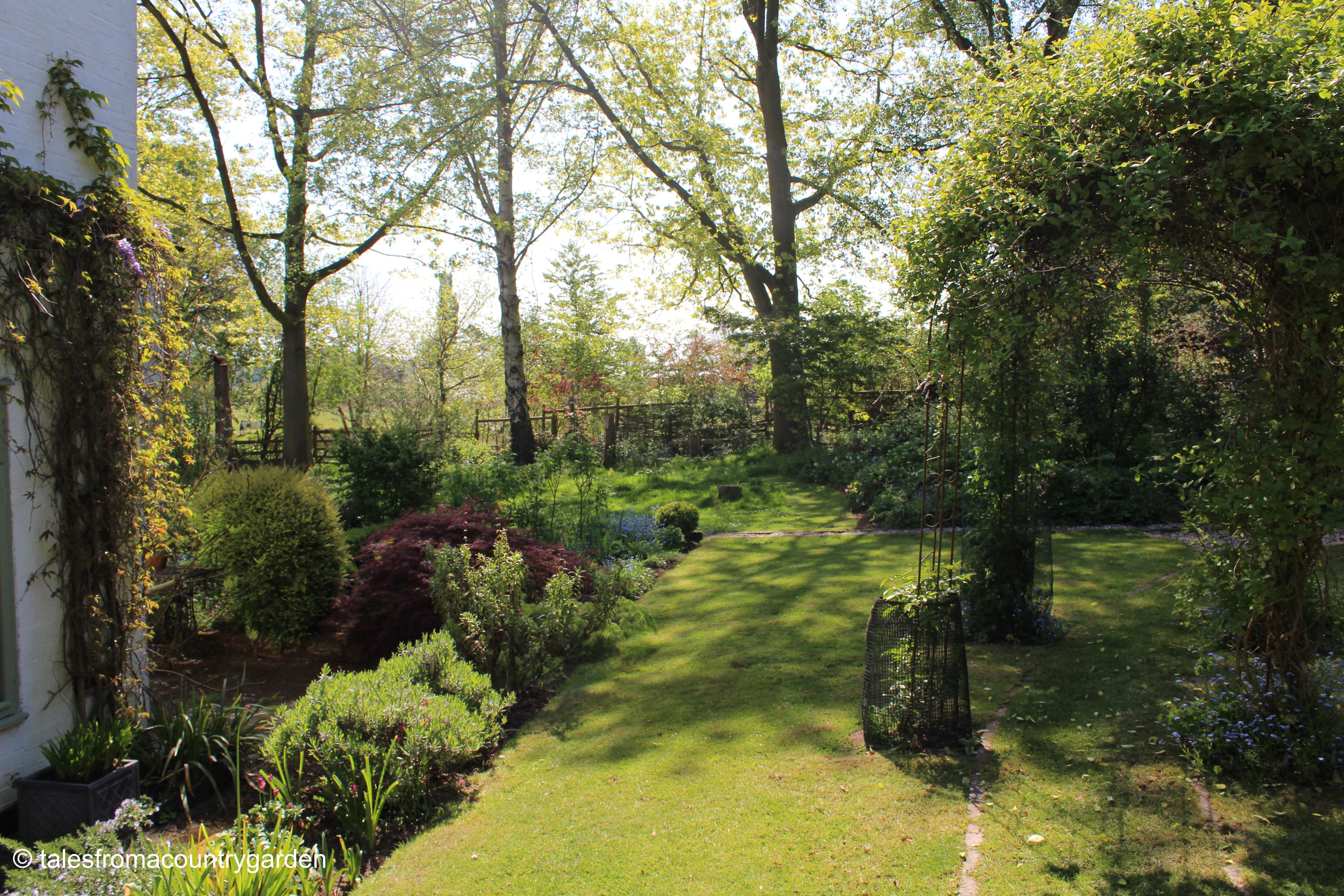 IMG_4213_watermarked