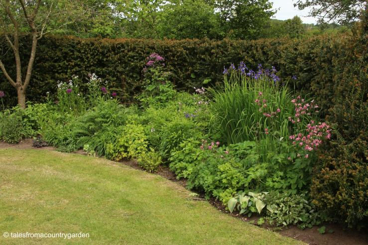 IMG_0001 (2)_watermarked