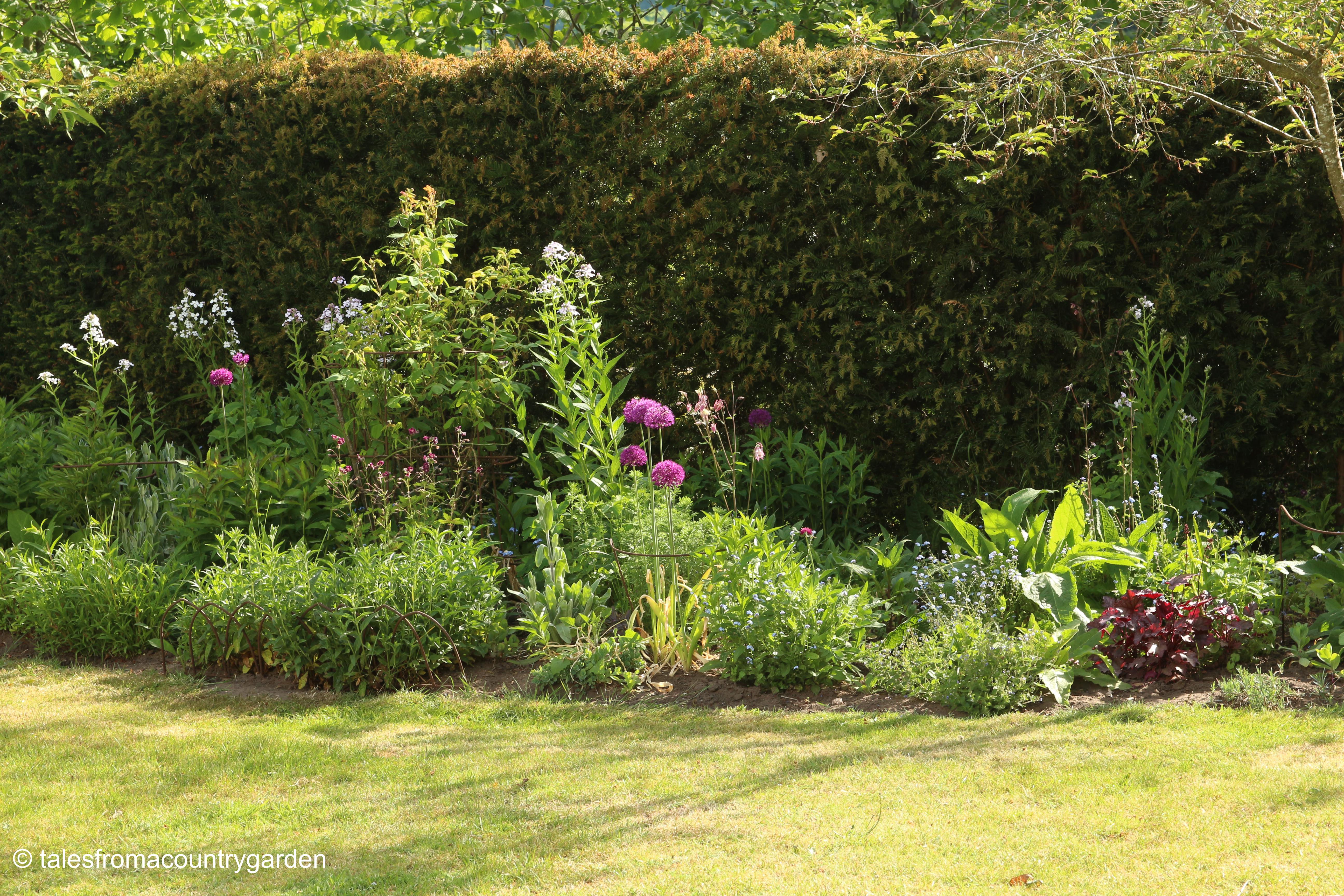 IMG_0002_watermarked - Copy