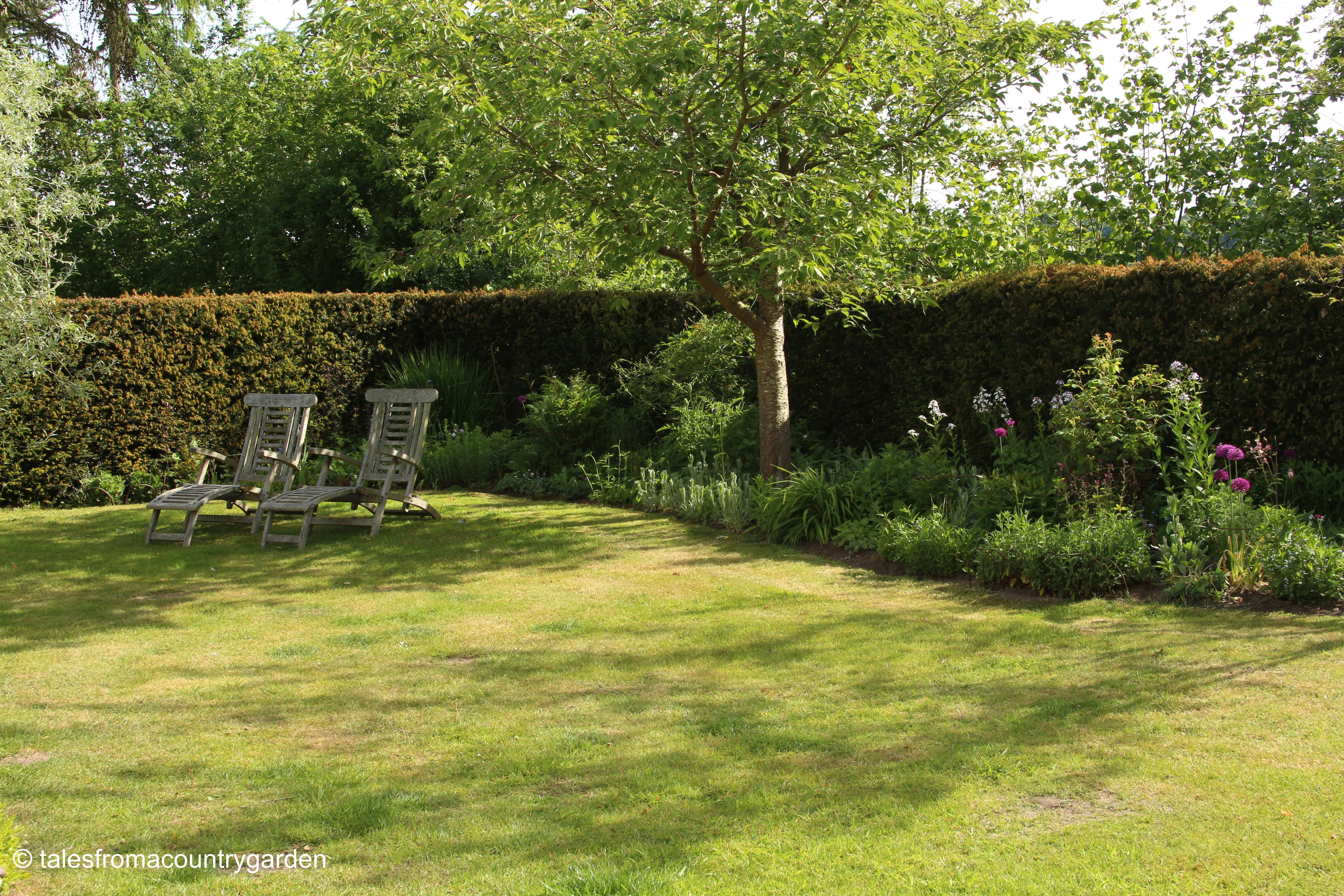 IMG_0003_watermarked - Copy