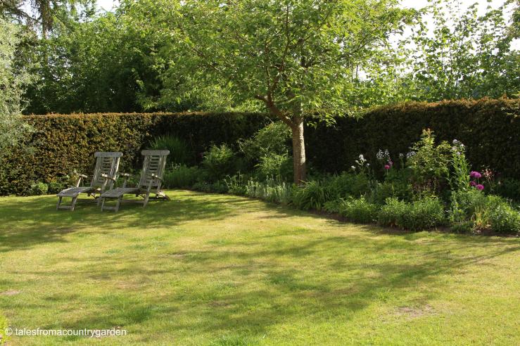 IMG_0003_watermarked - Copy