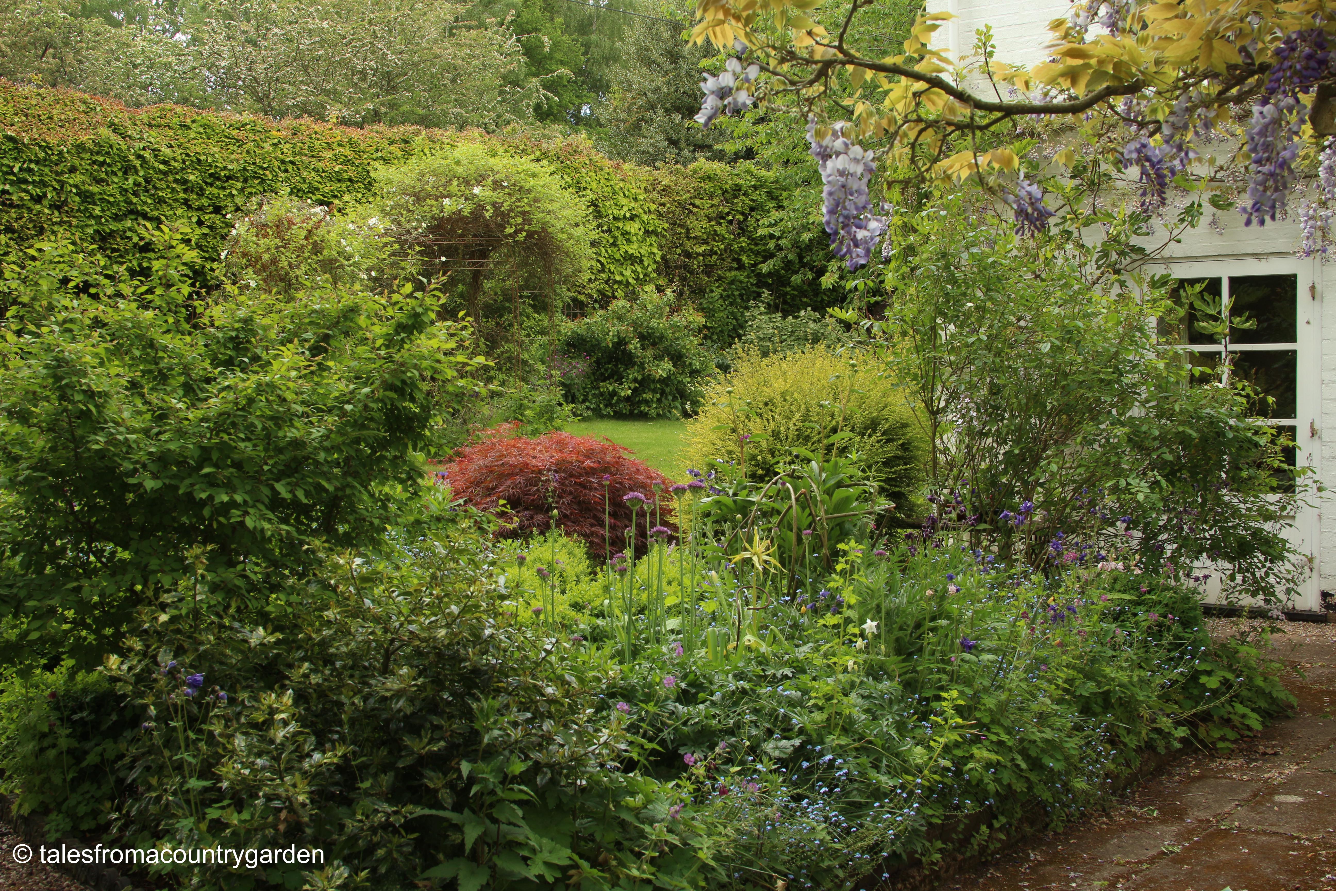 IMG_0004_watermarked