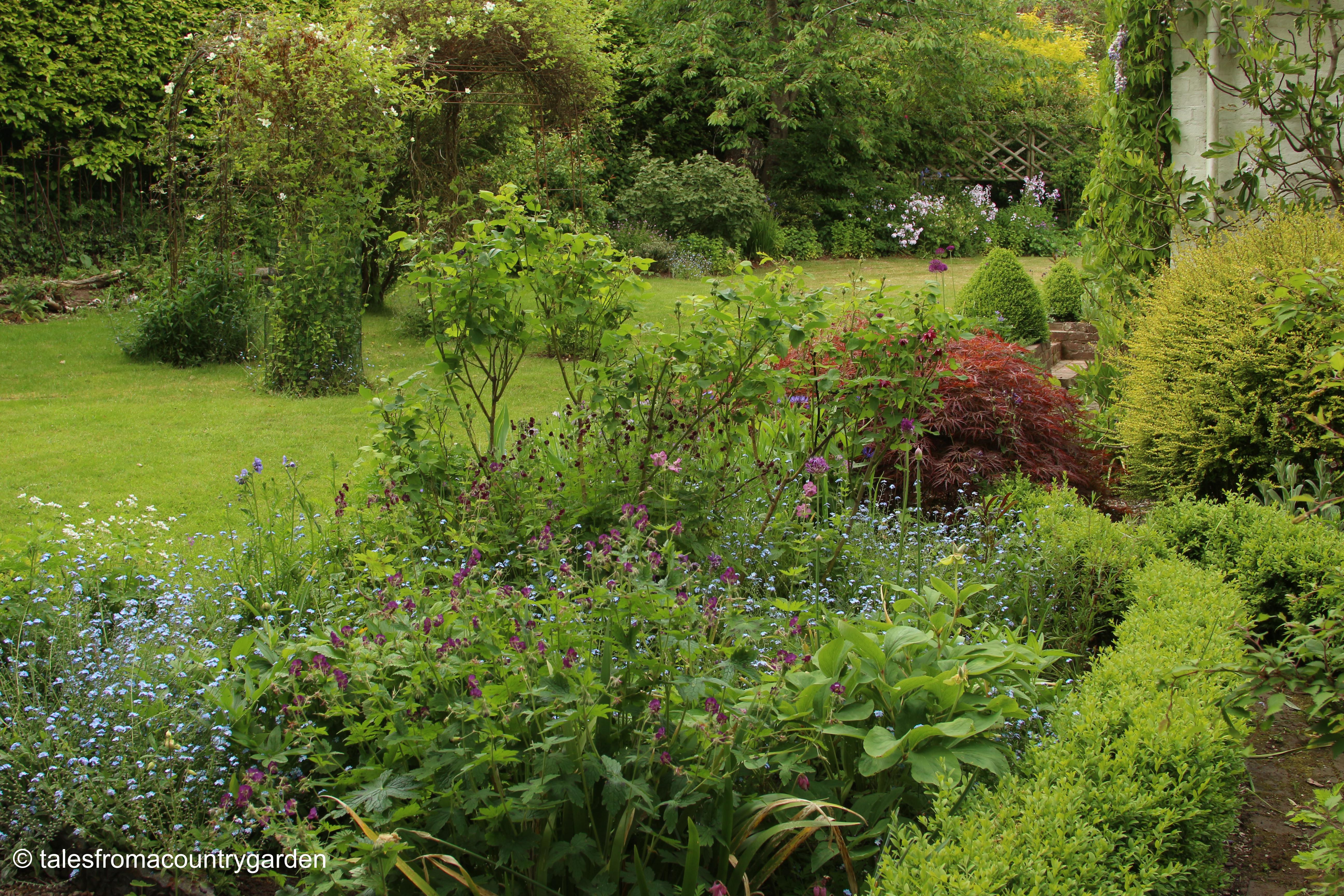 IMG_0005_watermarked