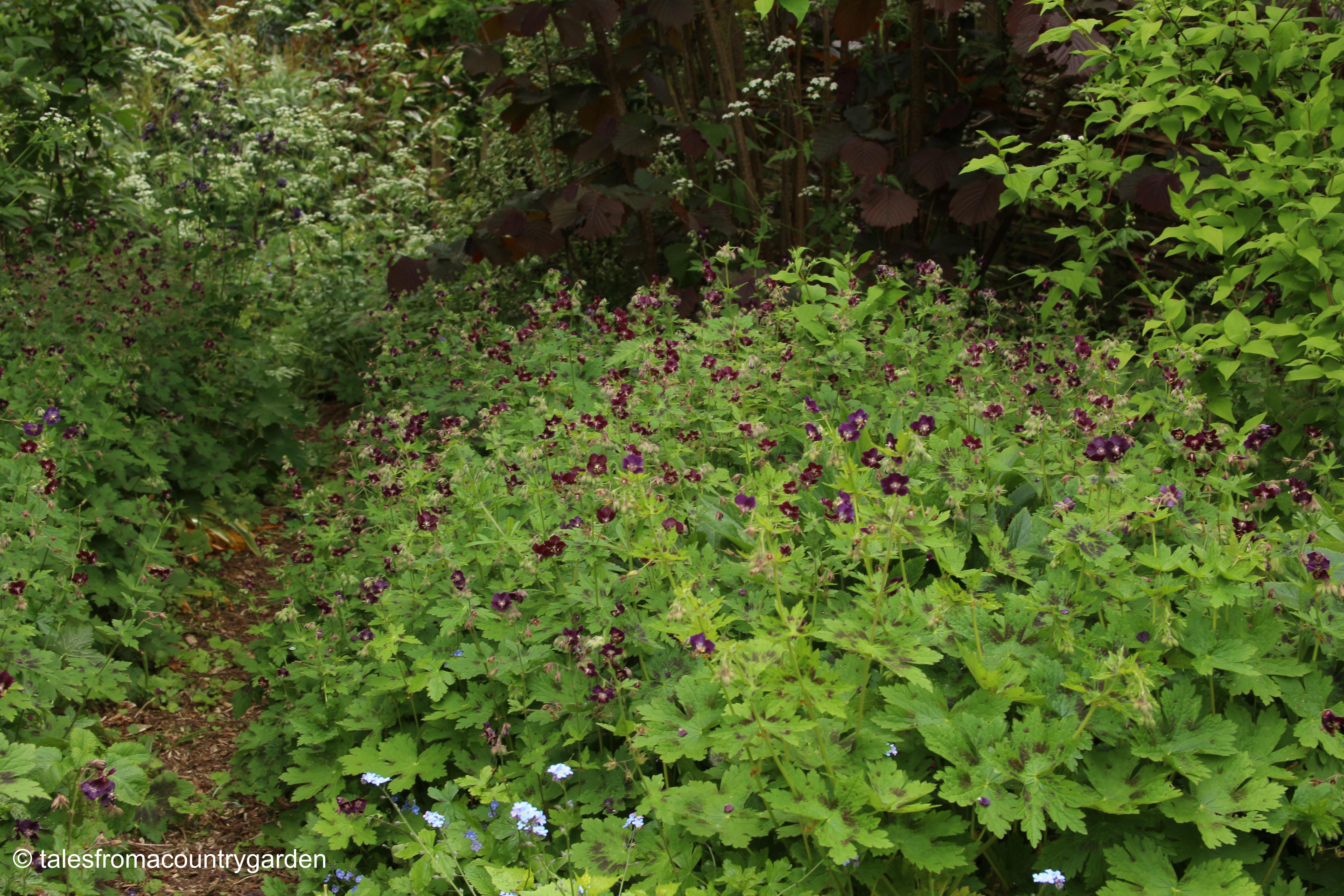 IMG_0007_watermarked