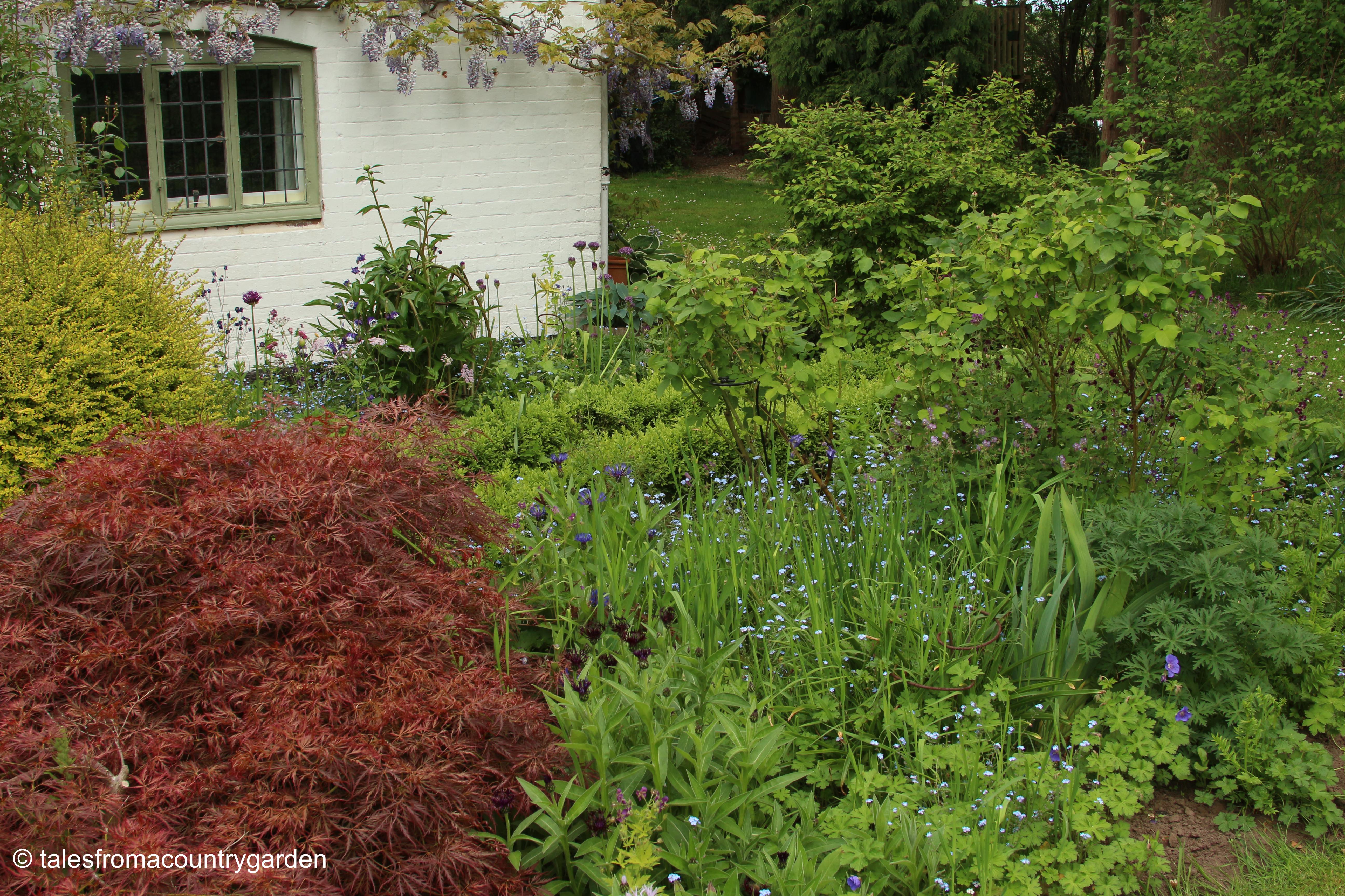 IMG_0010_watermarked