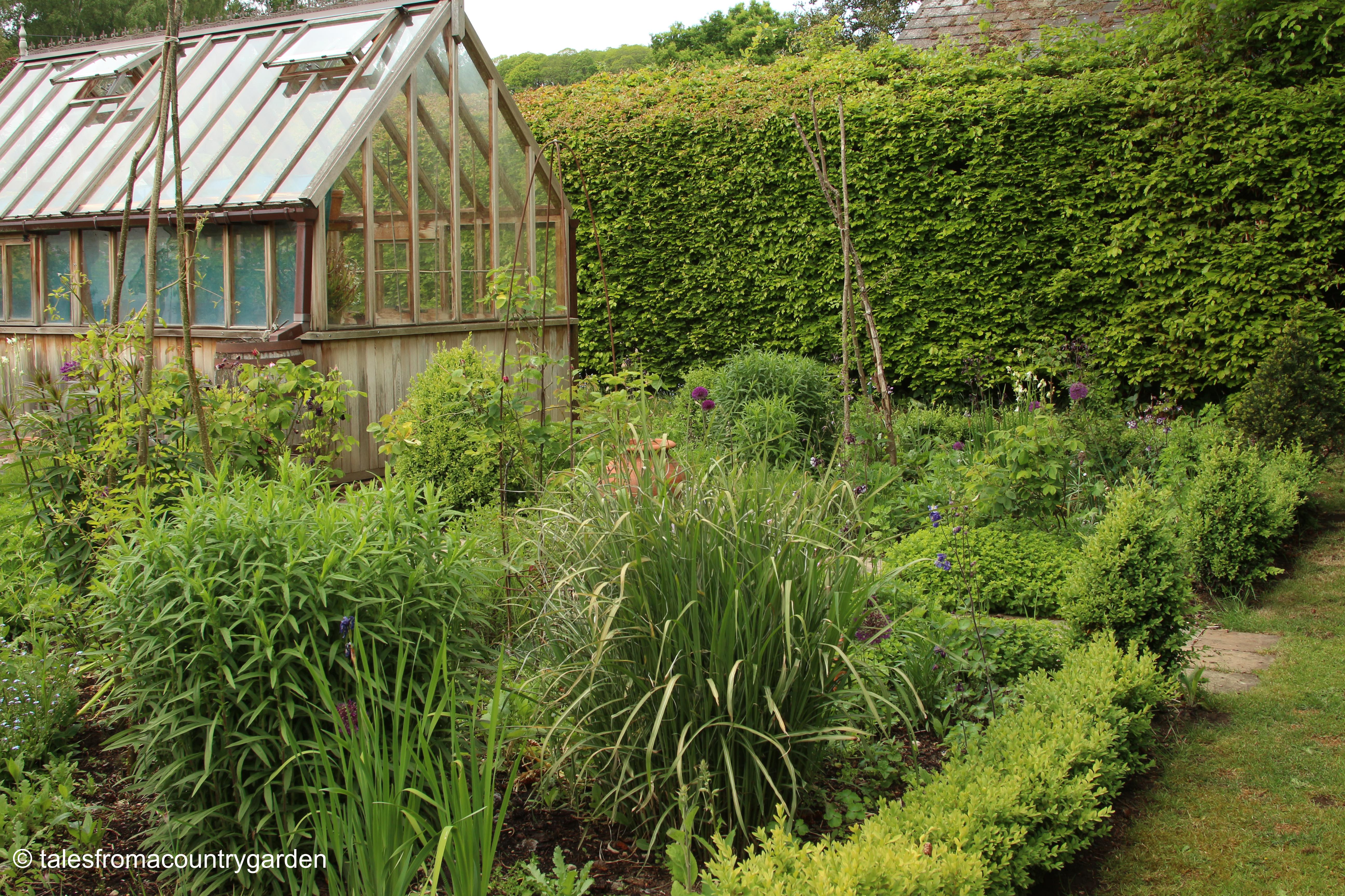 IMG_0015_watermarked