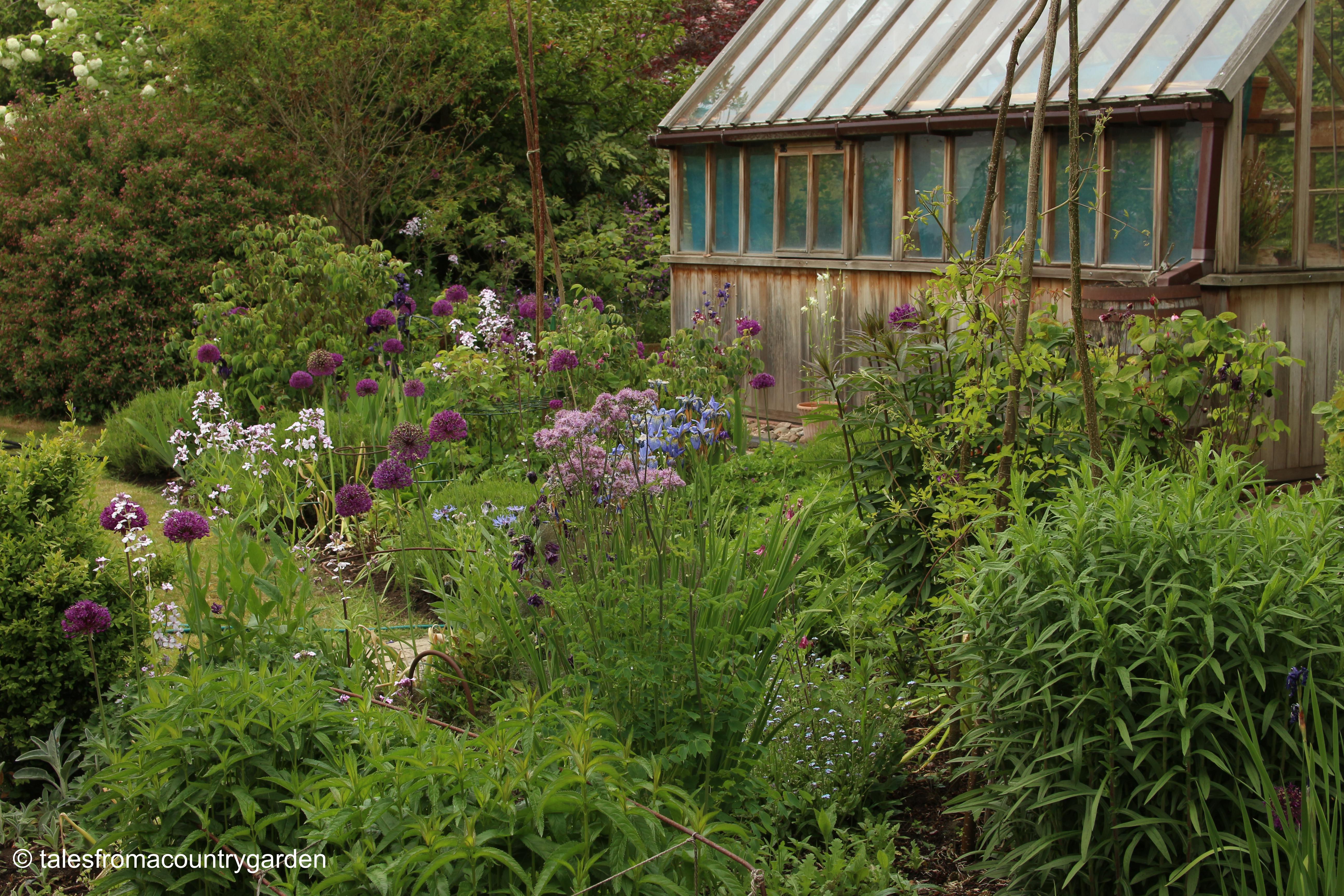 IMG_0016_watermarked