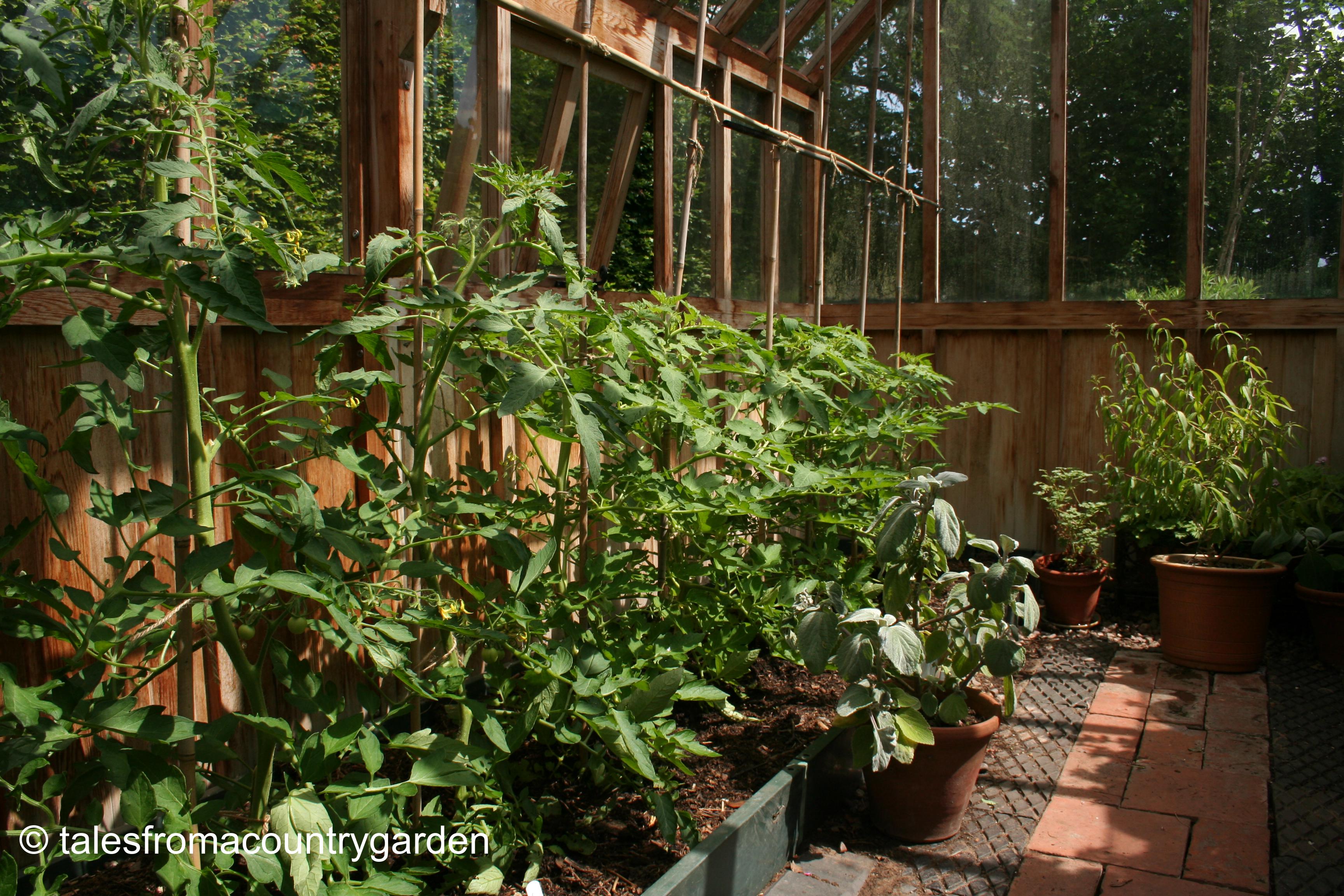 IMG_0450_watermarked